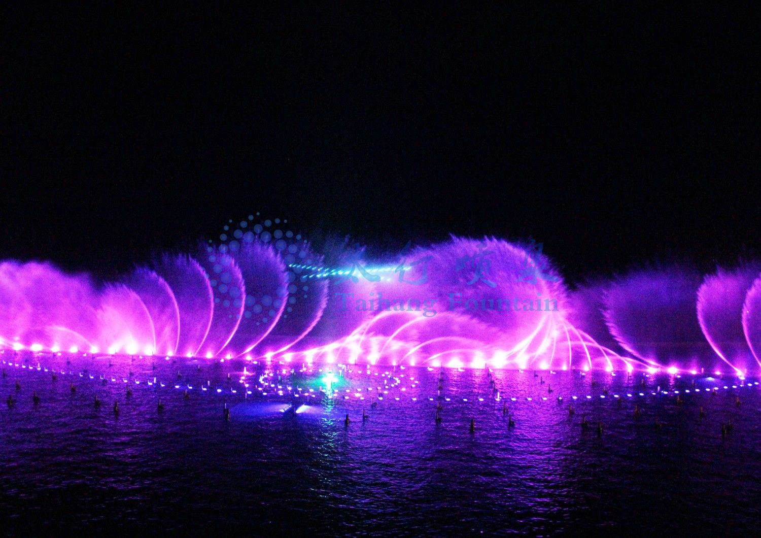 【狼牙山玫瑰園】